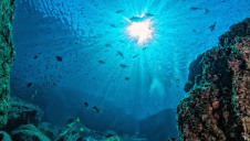 TNC has already secured more than $23m of the $40m required to unlock the $1.6bn for conservation